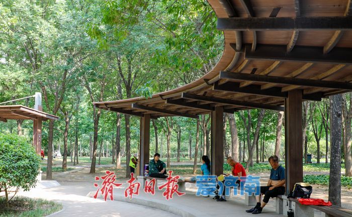 免费享绿意！济南森林公园化身市民消夏运动乐土