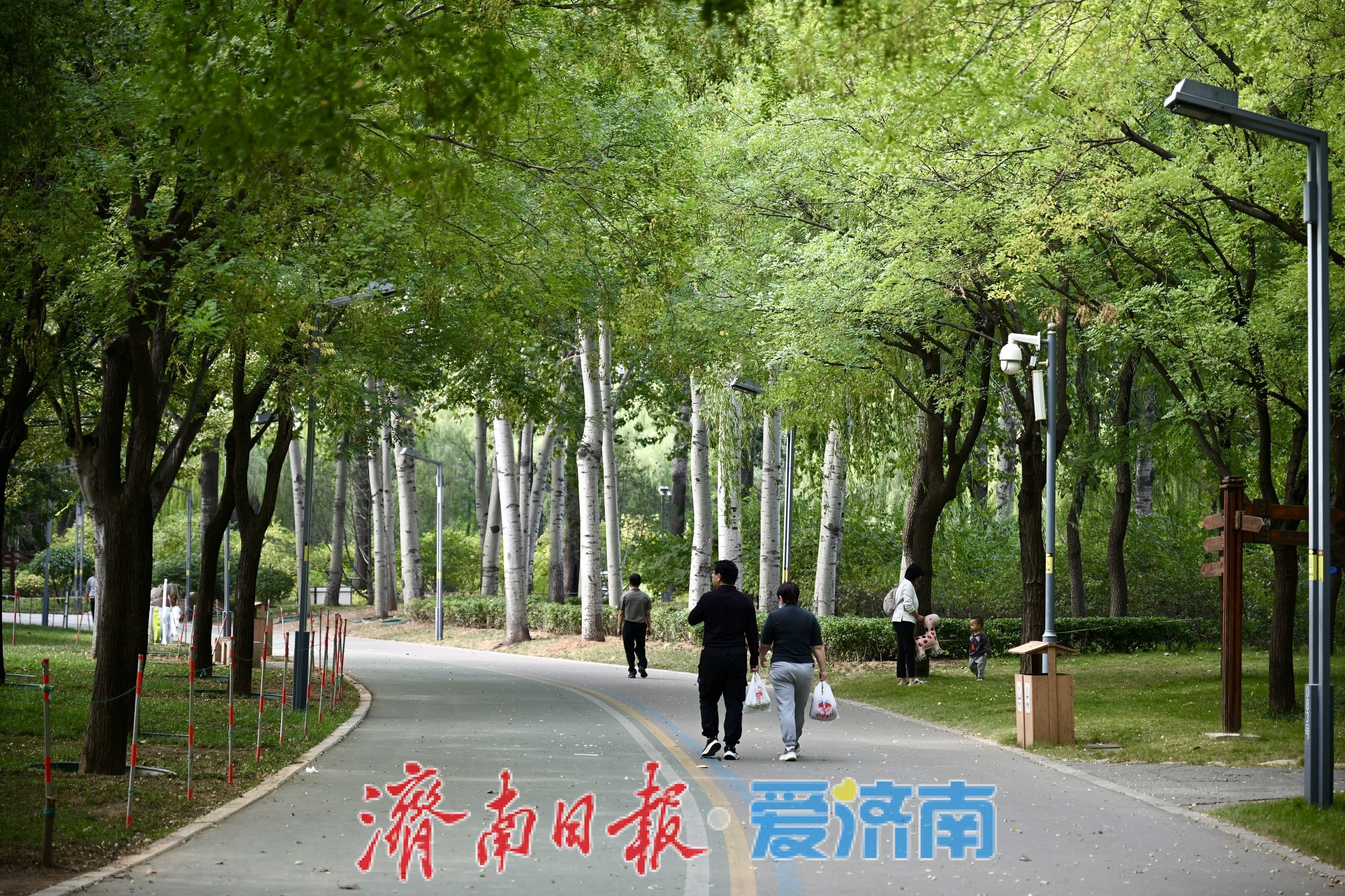 一年四季 泉在济南丨秋染林海景如画 济南森林公园乐享休闲好时光