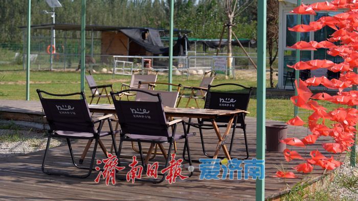 从“城市供应链”到“乡村产业链”——济南起步区新农人赵振华的二十年归途