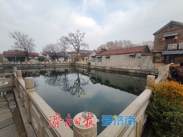 一年四季 泉在济南丨冬日王府池子泉韵悠悠醉游人