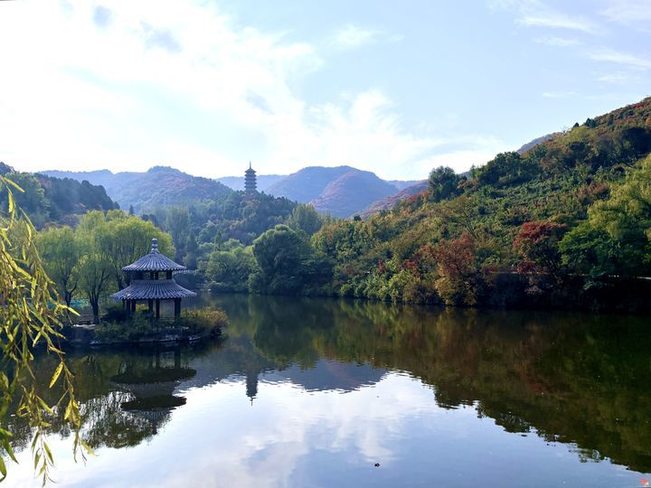 渐入佳境！济南红叶谷迎来秋日观赏季