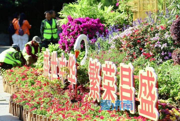 赏名泉喷涌品菊影婆娑，第47届趵突泉金秋菊展即将启幕