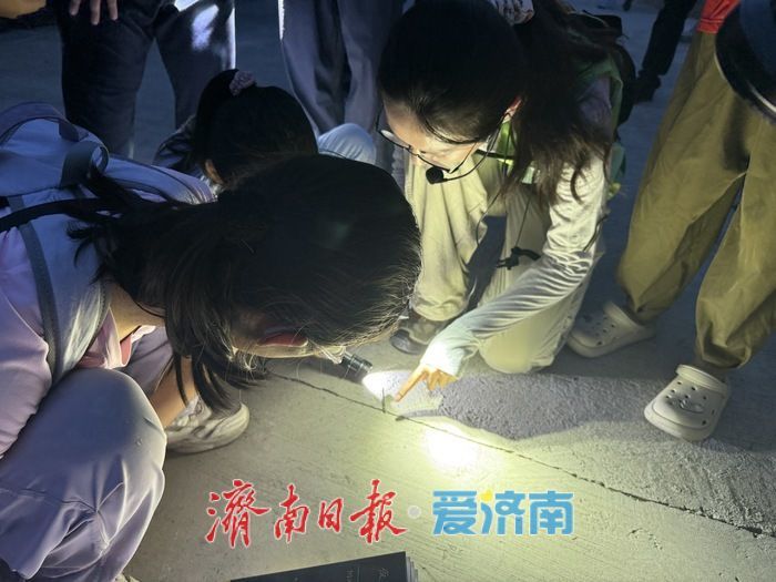 手电照见惊喜：佛慧山夜探虫趣浓，济南生态答卷更亮眼