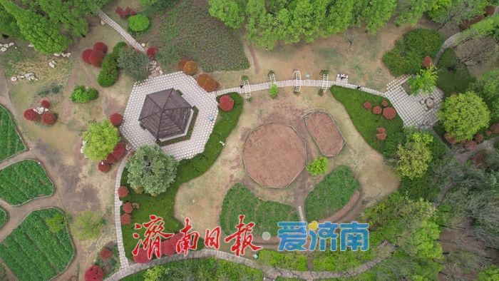 一年四季 泉在济南丨春雨润泉城 济南森林公园满目翠绿“颜值高”