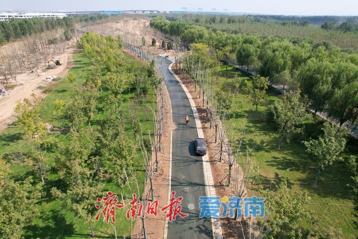 大河之畔植新绿 济南黄河生态廊道造林忙