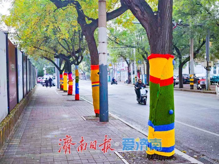 经四路树木“换新装”，萌趣针织艺术点亮城市街角