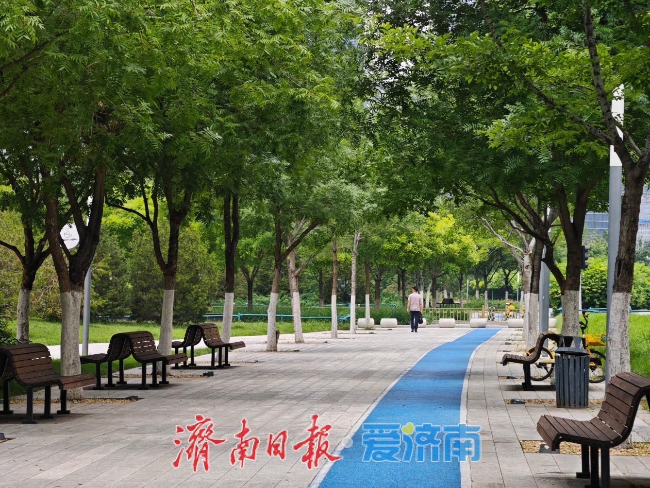 绿意直达居民“家门口”！历下区104座公园织就全域绿网