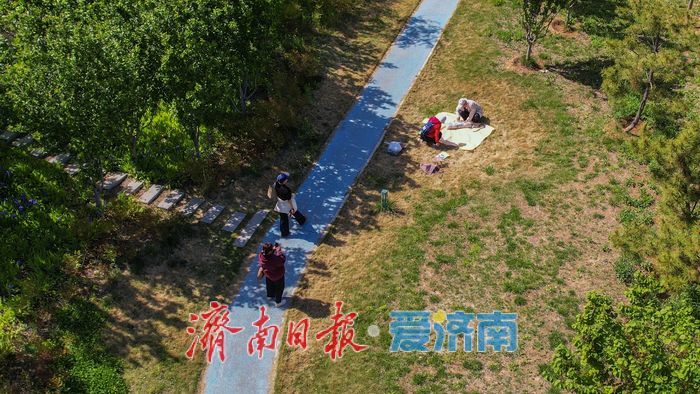 昔日老厂区变身城市绿肺，济钢中央森林公园春意正浓