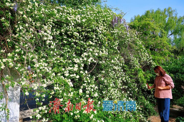 谷雨时节春意盛 市民游园赏景正当时