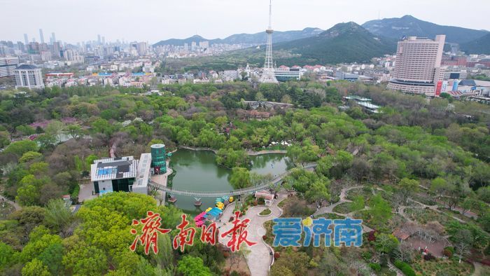 泉城公园满目翠绿入画来