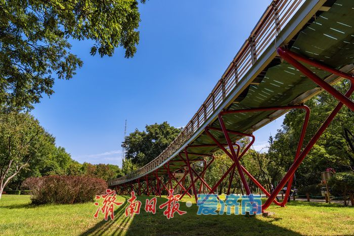 一年四季 泉在济南丨泉城公园：秋光正好，邂逅城市中的自然诗意