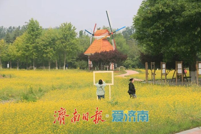五一济南植物园喊你去打卡：花海、非遗、市集全都有