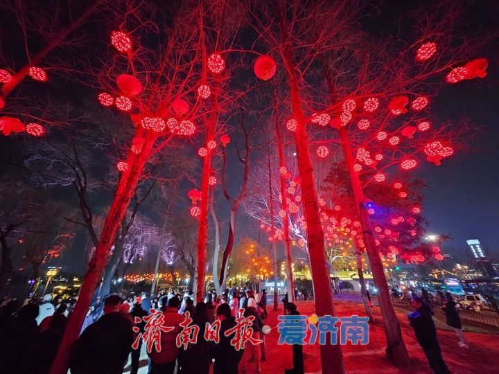 流光溢彩年味浓 大明湖夜间灯笼点亮泉城新春夜