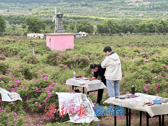 避开“人从众”，到平阴来一场花香弥漫的“反向旅游
