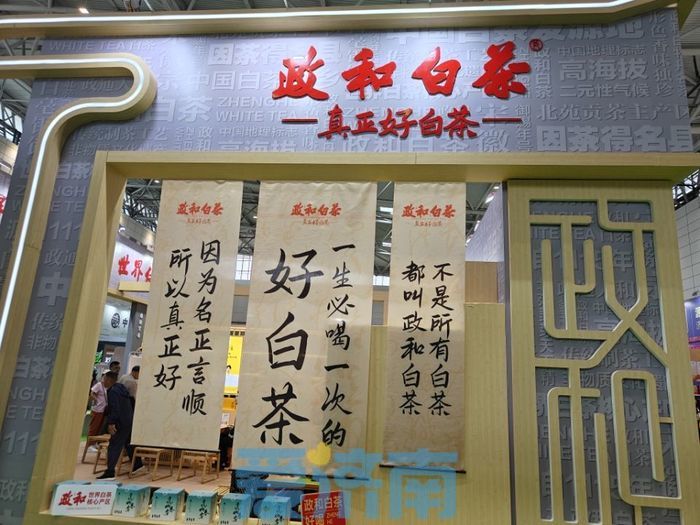 新朋旧友齐聚济南！关于济南茶博会，茶商有话说