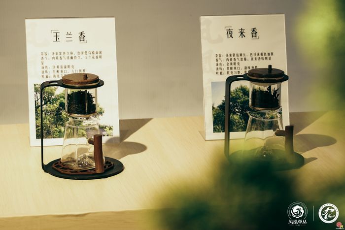 茗聚泉城 茶香天下  中国（济南）第十九届国际茶博会暨第十三届茶文化节开幕