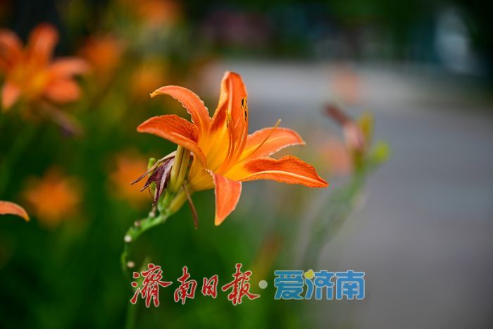 一年四季 泉在济南丨游泉城公园，静享城市“慢生活”