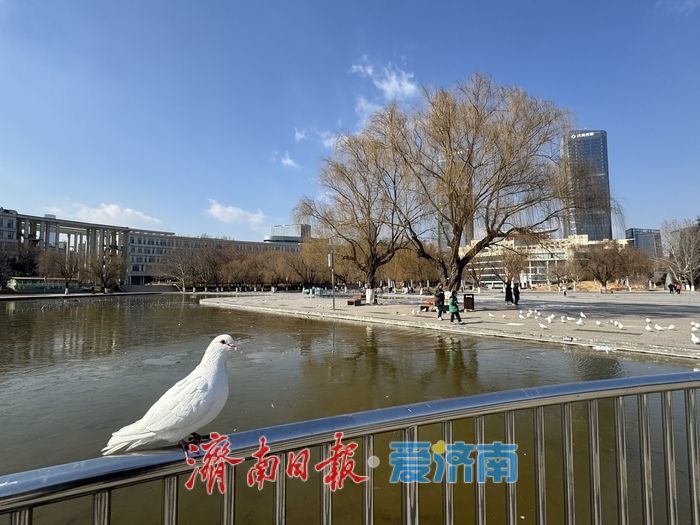 晴冷天遇湛蓝晴空 济南齐鲁软件园暖意融融