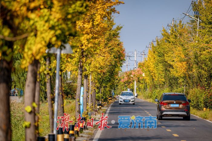 一年四季 泉在济南 