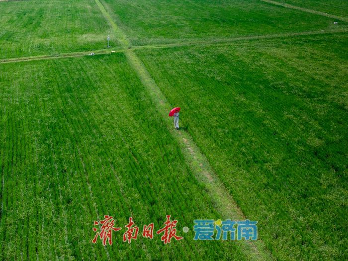 一张地铁票，闯入济南的