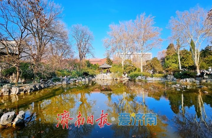 一年四季 泉在济南丨济南中山公园冬韵悠悠