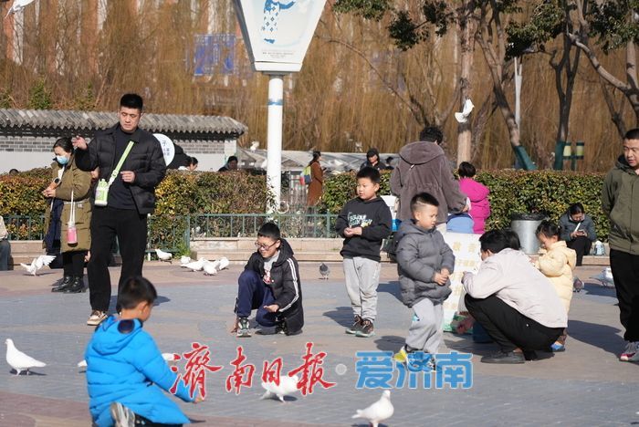 春风和煦，市民欢“鸽”笑语度周末