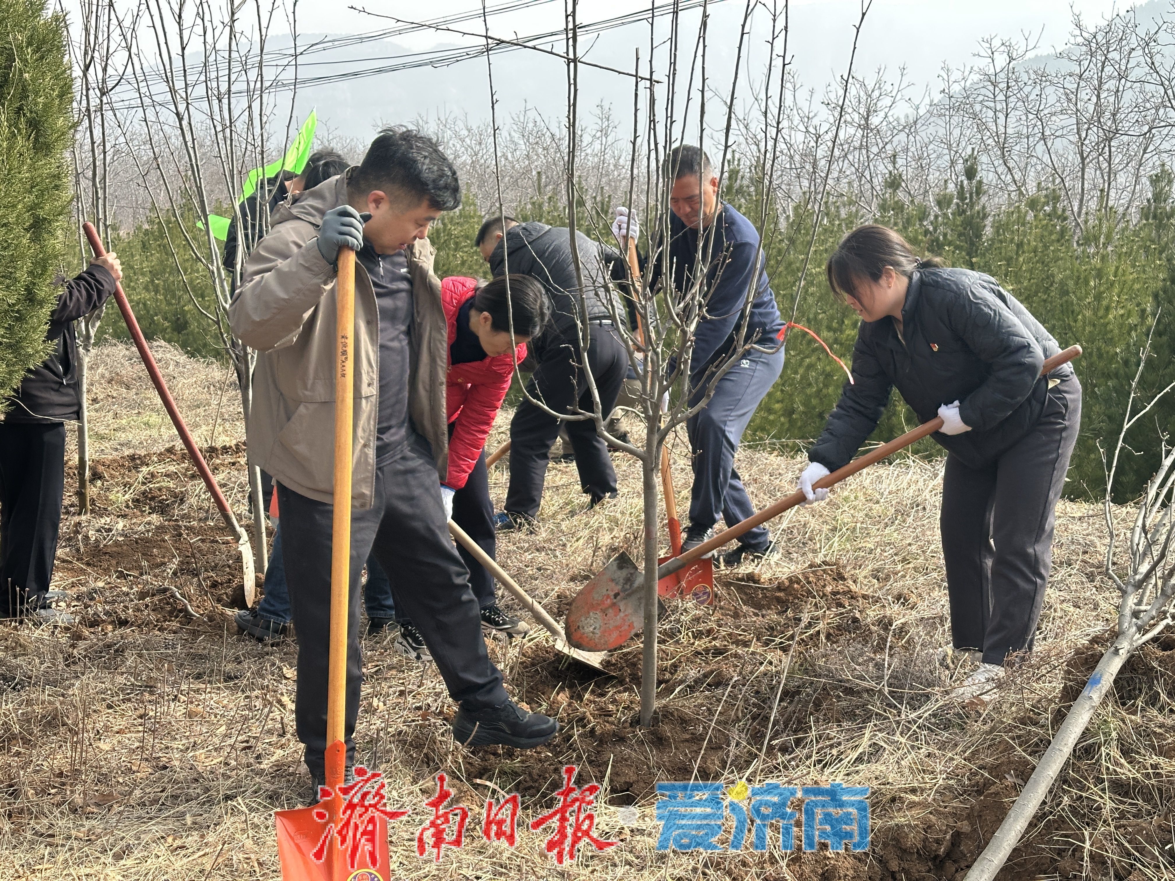 奔赴春光之约，共植泉城新绿 济南市全民义务植树活动全面启动