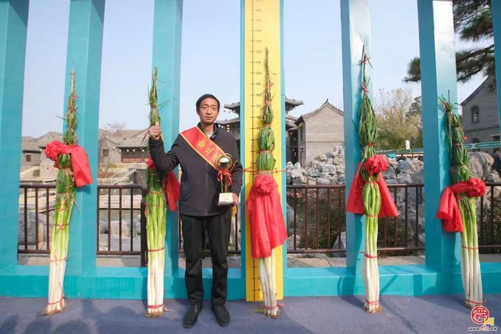 一棵葱“长”出35亿全产业链！