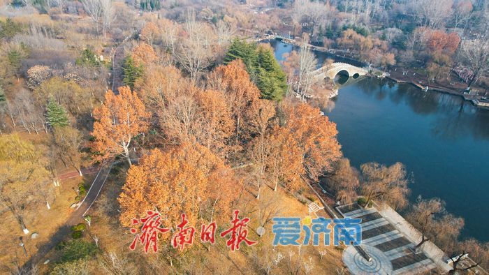 冬日红石映暖阳