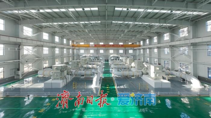 趵眼丨绿色，美丽济南最鲜明的底色