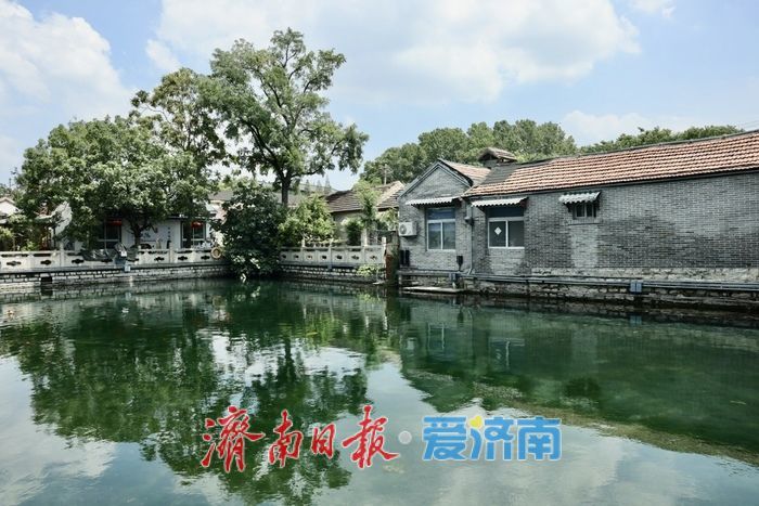 一年四季 泉在济南丨天光云影入泉来 王府池子展神韵