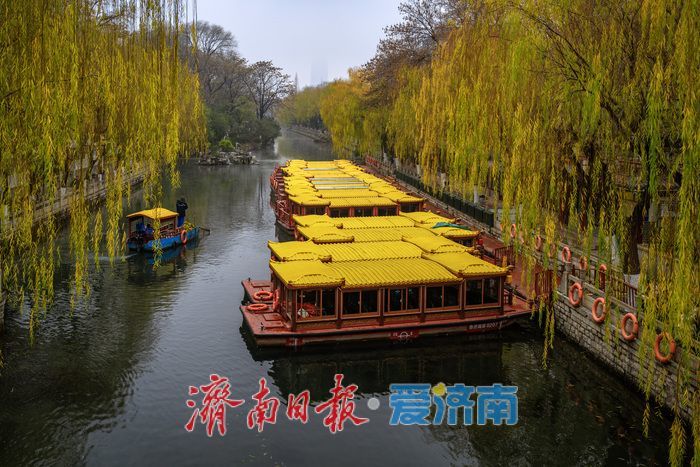 一年四季 泉在济南丨济南黑虎泉冬日云雾润蒸：清泉伴柳，仙境入画