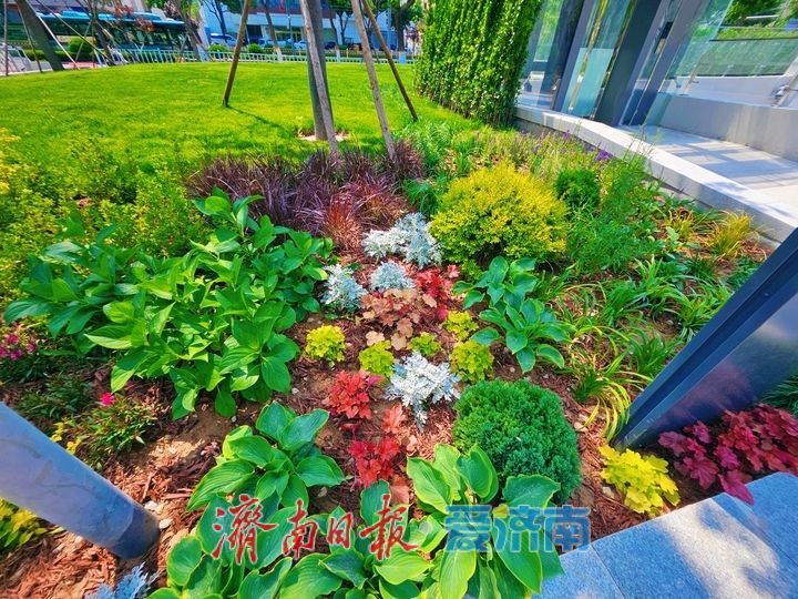 方寸园林藏诗意 泉城广场添雅韵 微型园林景观惊艳亮相城市会客厅