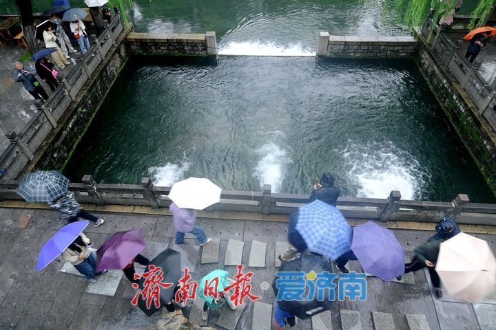 泉水水位屡创新高，黑虎泉版“清泉石上流”上线引人注目