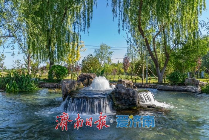 一年四季 泉在济南丨泉畔戏水享清凉