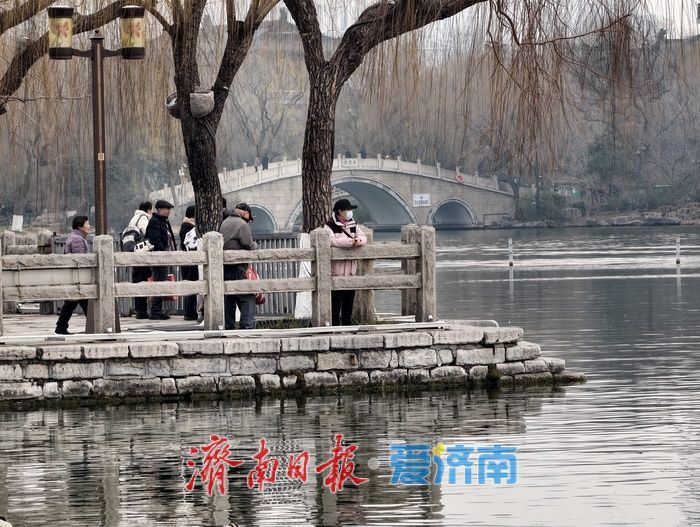 白骨顶鸡“组团”栖息越冬，见证泉城生态之美