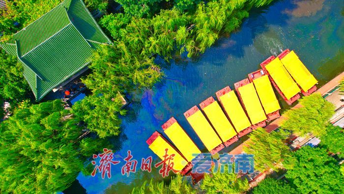 济南护城河水位显著上涨，迎来一年最佳观赏期