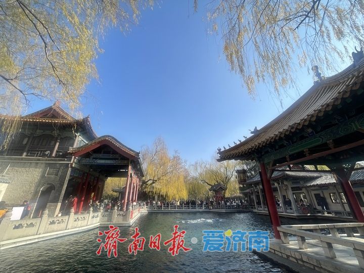 趵突泉水位同比上涨1.29米 冬日泉水欢腾引客来