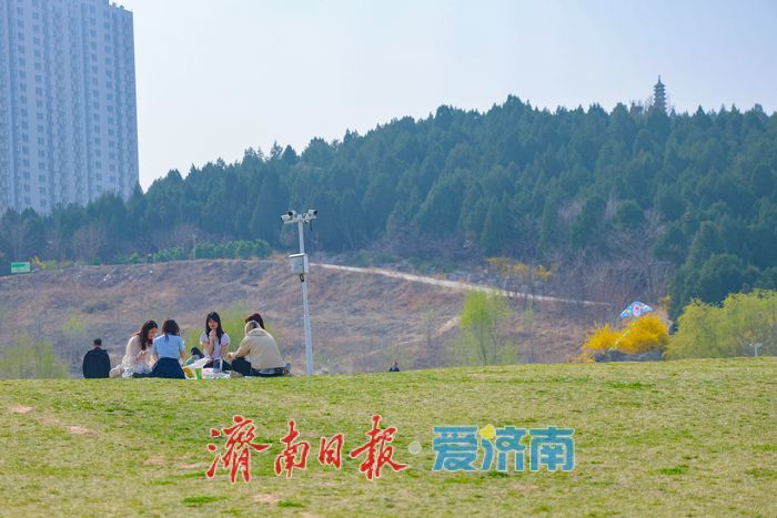 春日暖阳润新绿 菠萝山草坪成“松弛栖息地”