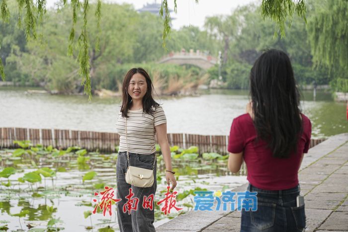 一年四季 泉在济南丨碧荷初露新装，大明湖铺展翠色锦缎