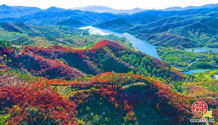 “这里是章丘！”—垛庄篇