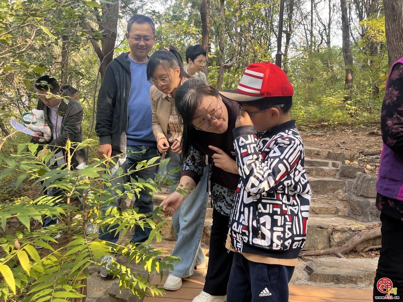 自然教育｜济南园·林惠民行“小小观察员森林探秘”科普研学活动走进泉城山林自然观察径