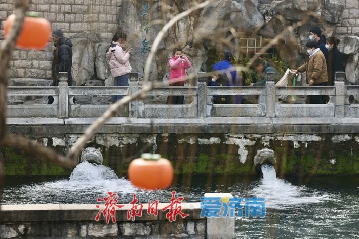 泉声伴灯影 济南护城河畔迎新春