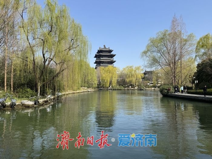 春雨初霁晴空朗 大明湖新绿映江南