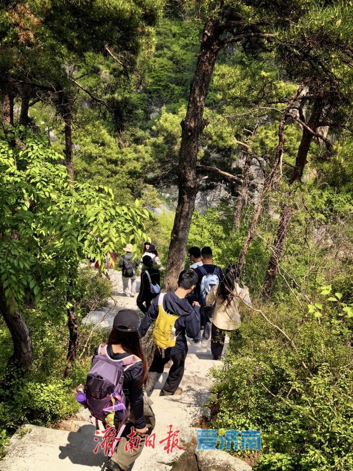 一年四季 泉在济南丨徒步药乡 奔赴山林之约