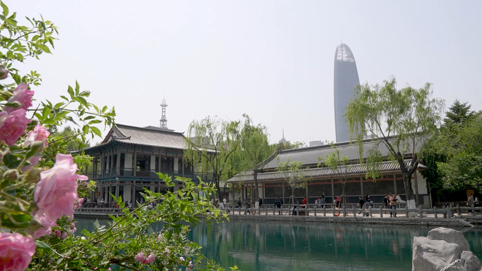 赏花、看柳、寻泉……提前预习济南的春天