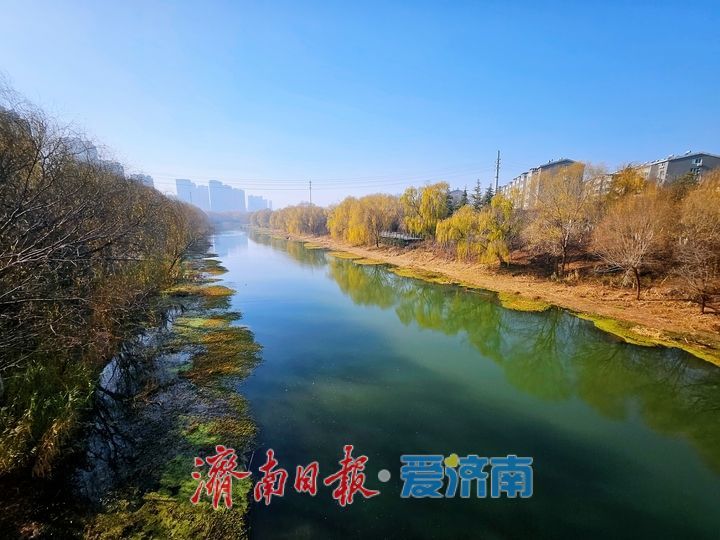 一年四季 泉在济南丨小清河冬日美景入画来