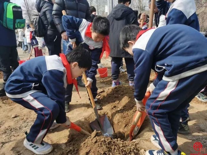 植绿·护绿——济南市经十一路小学四（7）中队开展实践活动