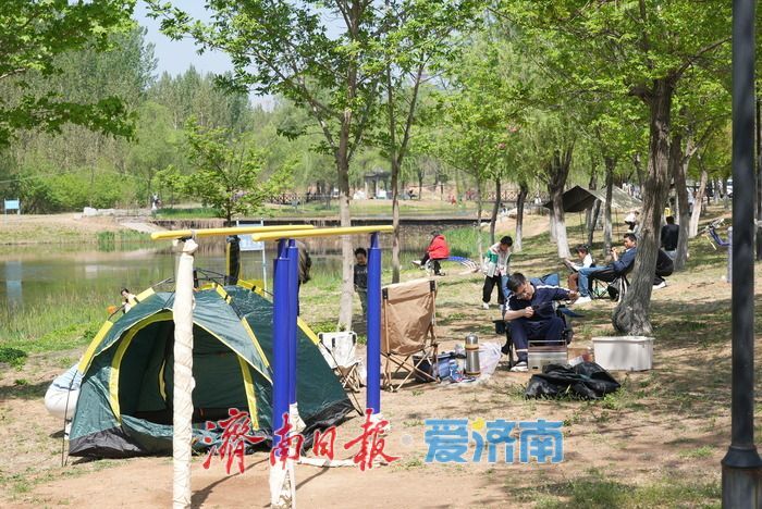 一年四季 泉在济南｜气温宜人好时光！湿地露营热 “燃” 初夏