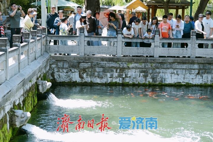 “五一”假期最后一天迎“立夏” 济南护城河畔变“天然空调房”